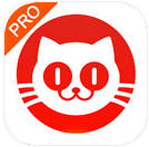 猫眼专业版电脑版访问地址_猫眼专业版数据平台入口