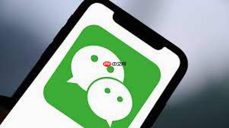 微信怎么提取图片文字_微信图文OCR识别功能操作指南