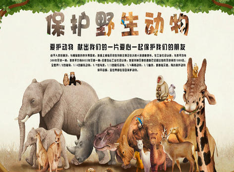 保护动物的口号有哪些-保护动物的口号宣传员标语大全